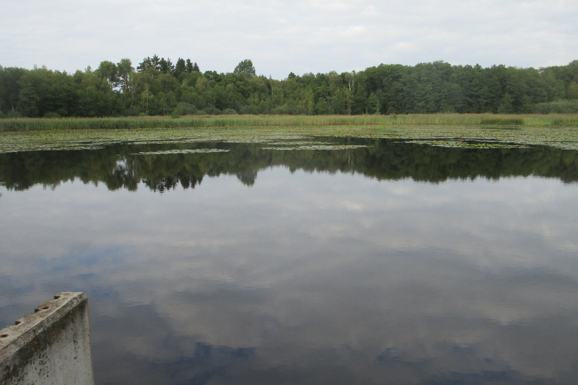 232_Regioplus_Fisch_aus_regionaler_Erzeugung_Foto_Michael_Scharl.JPG